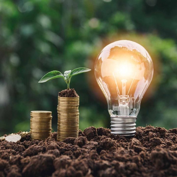 Energy Efficiency Services